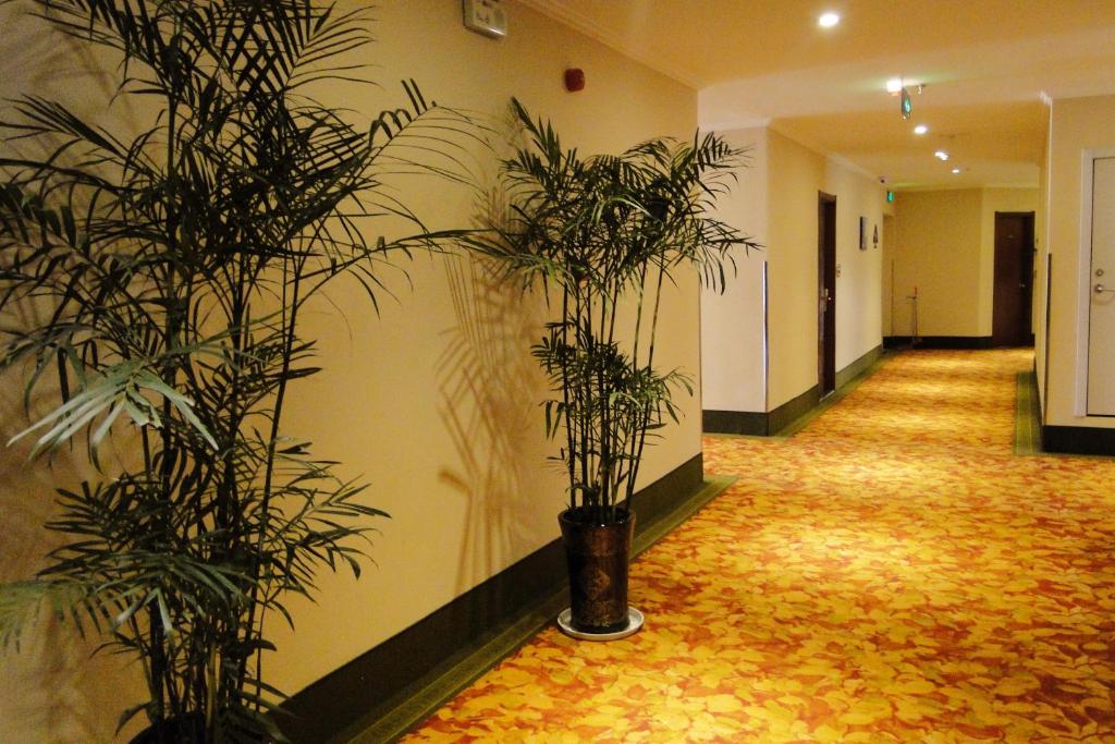 GreenTree Inn Bozhou Guoyang Shengli Road Fuyang Commercial Building Express Hotel photo
