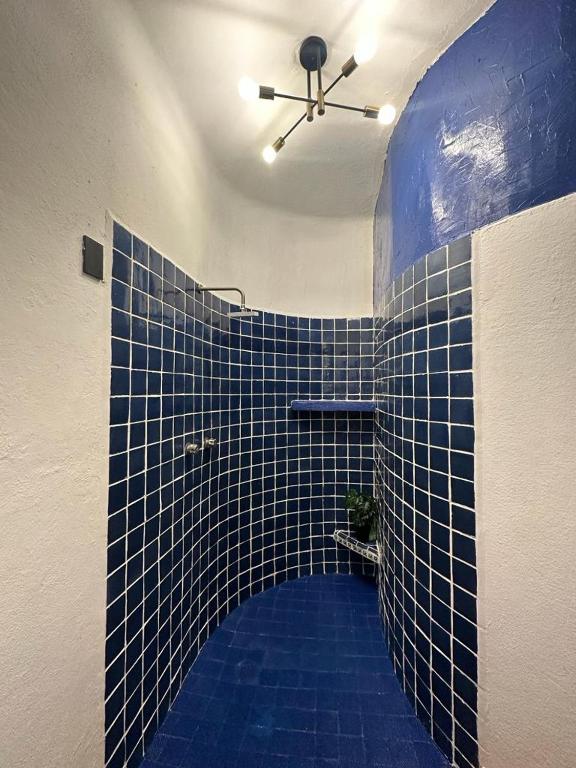 Casa Limon - 3
