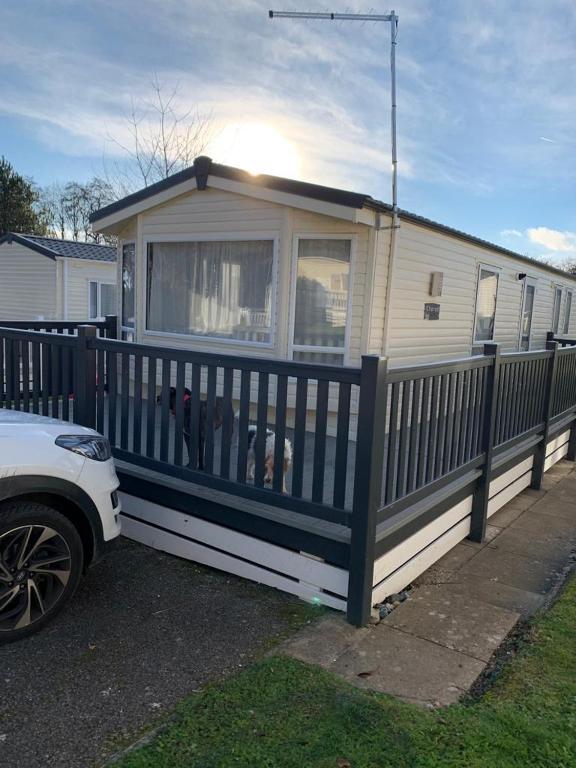 Foxglove Fourteen, Saint Leonards