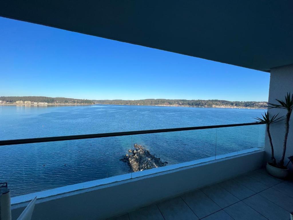 Departamento Esmeralda Pingueral - 5