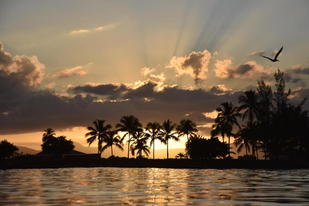 Duplex T2, 4 adultes, piscine, plage à proximité, Le Gosier
