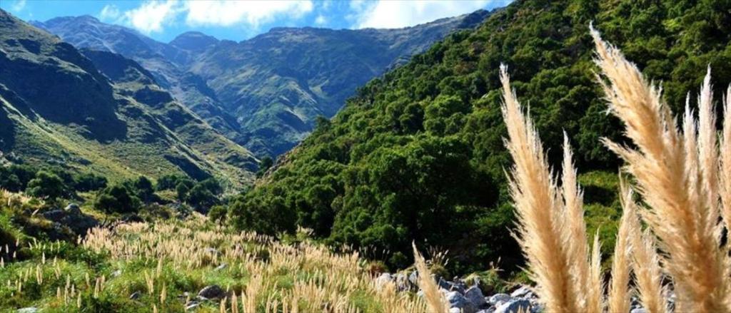 Casa Aguaribay para 4 personas, cerca del centro, Merlo San Luis - 3