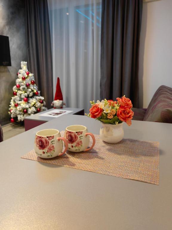 Apartmani MiS apartman br 2 - 2
