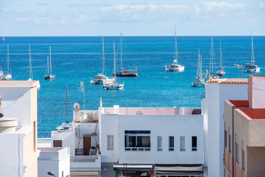 Correlimo HolidayFV, Corralejo