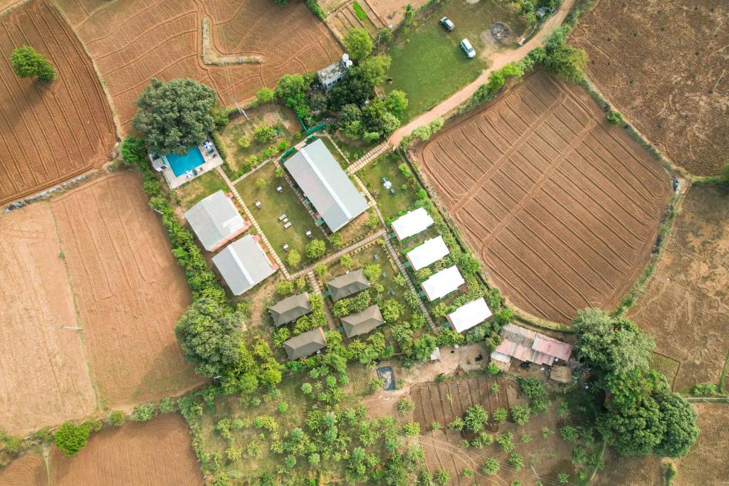 Jungle Book Ranthambore, Sawāi Mādhopur