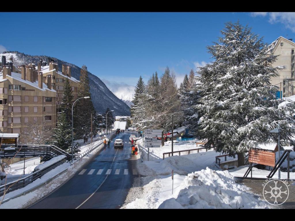 PINCÉLA de Alma de Nieve - 2