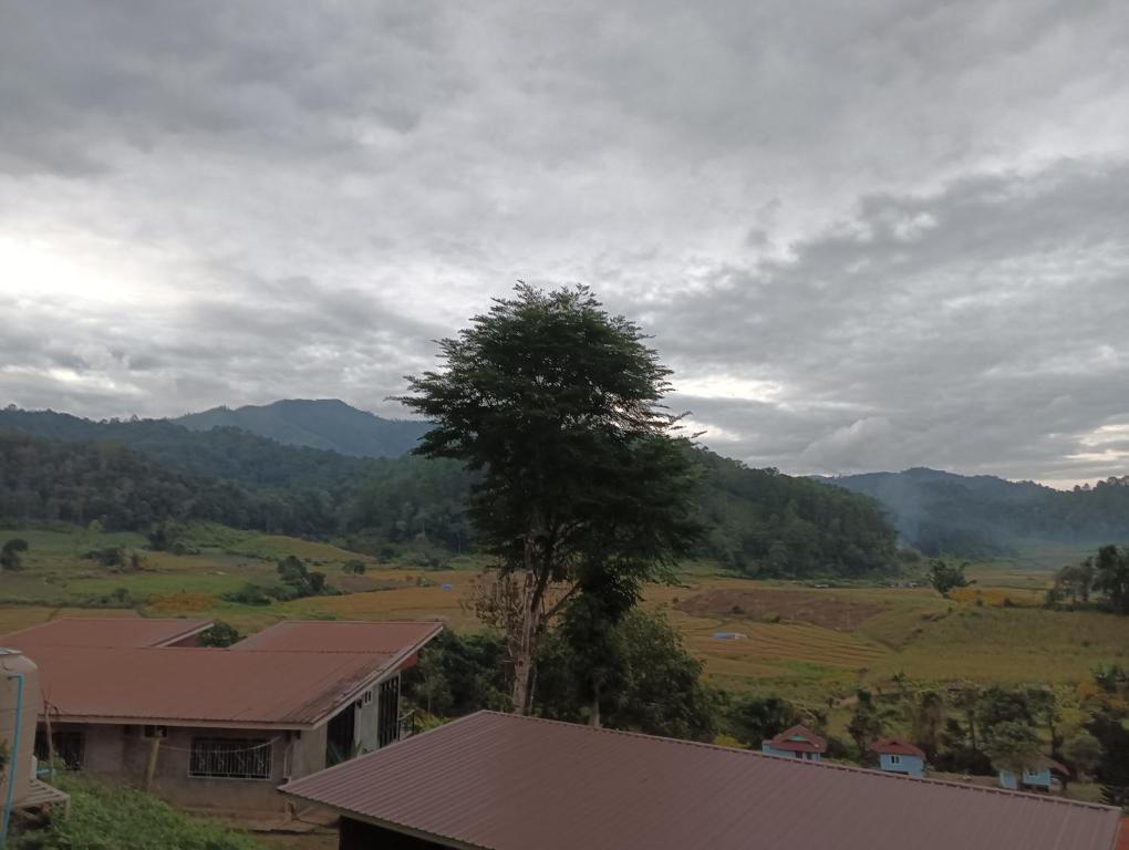 Surrounding environment