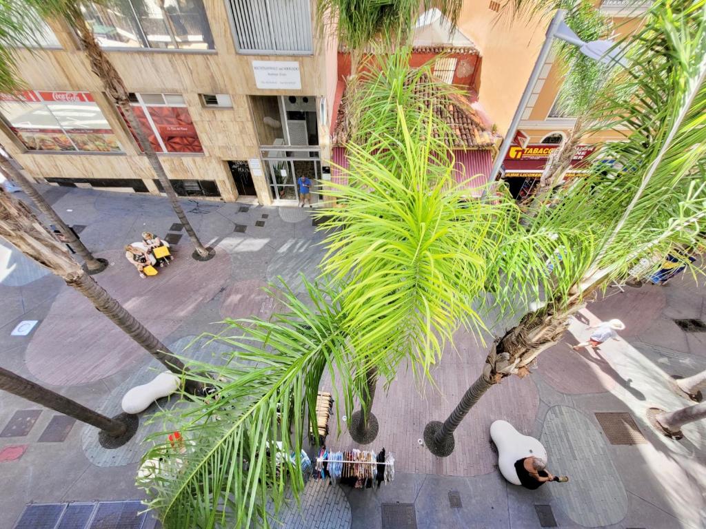 Buenavista Apartment - ADULTS ONLY - - 4