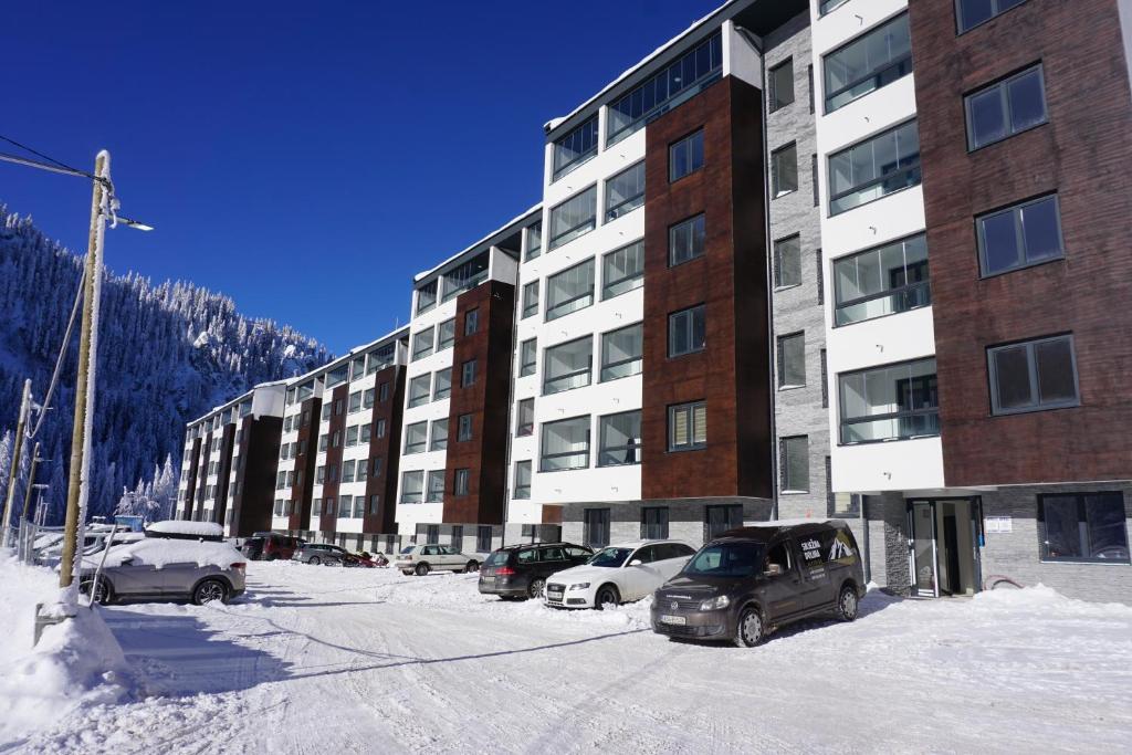 Apartmani uz stazu -Snježna dolina - 1