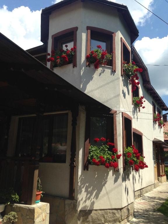 Pensiunea Casa Bianca - Bucovina photo