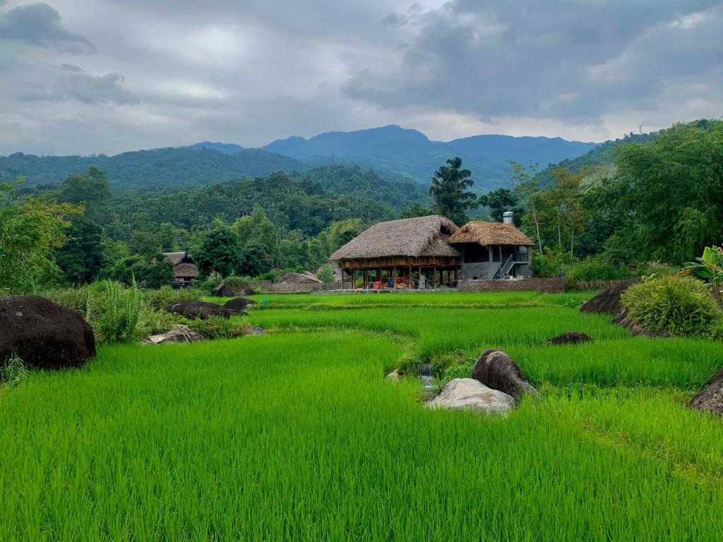 Ha Giang Yolo House and Loop Tours