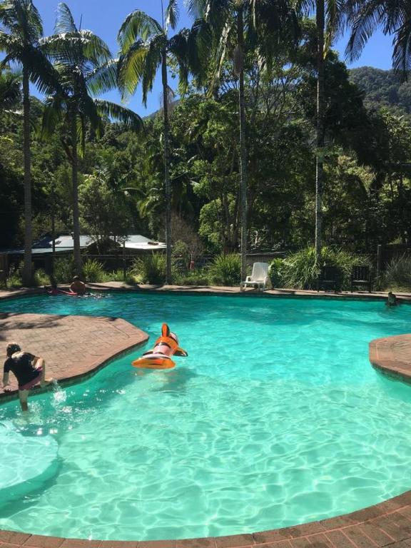 Mt Warning Rainforest Park 전경