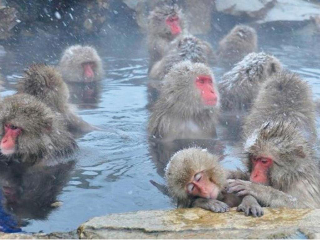 Nearby attraction