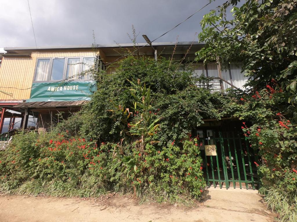 Amica House