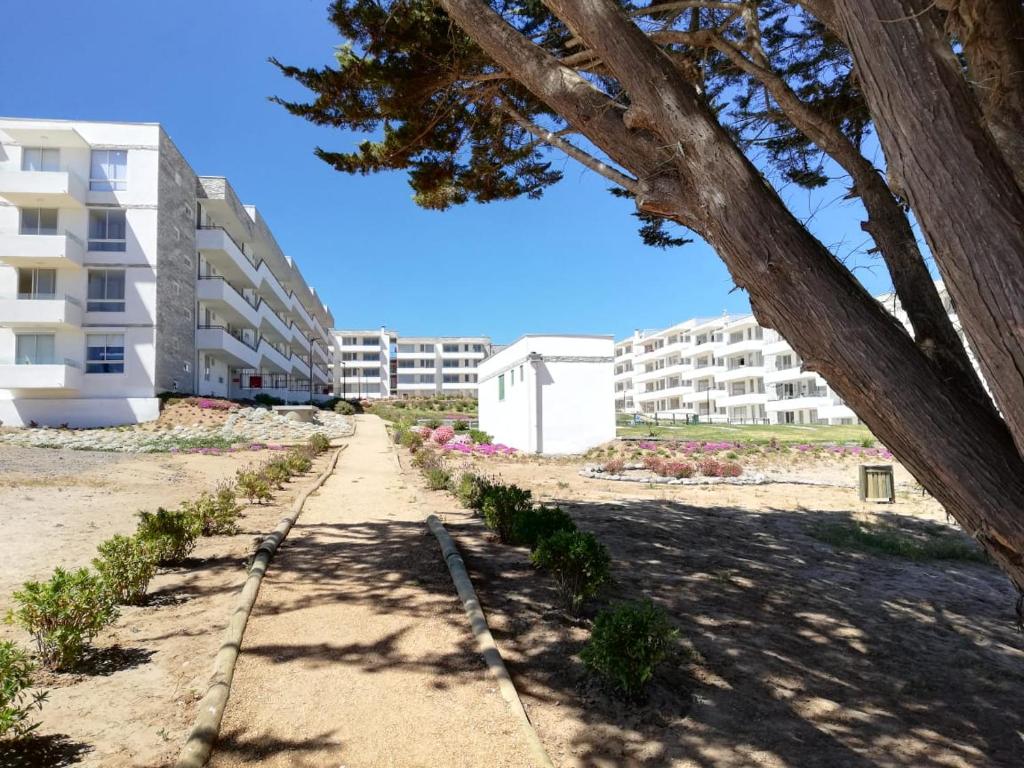 Deptomar307 Condominio Miramar El Tabito - 5