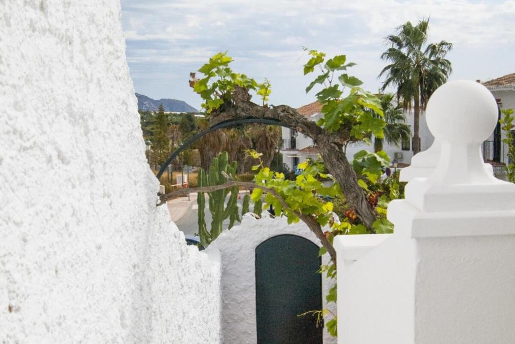 Los Crisantemos Family house with garden and pool - 3