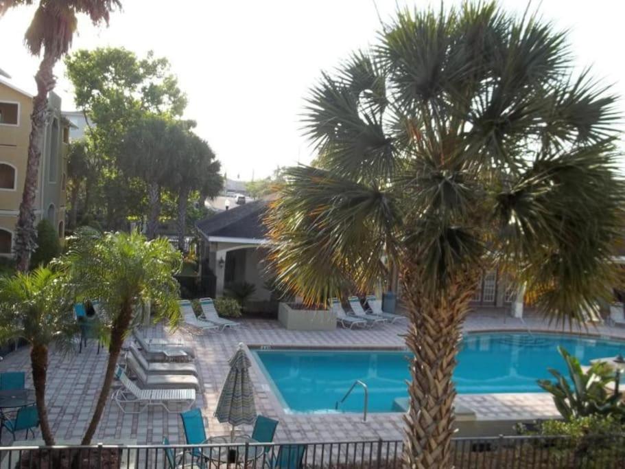 Avalon Condo in Clearwater Minutes From Clearwater Beach, Clearwater