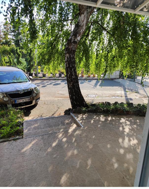 Apartment Vidikovac 3 - 2