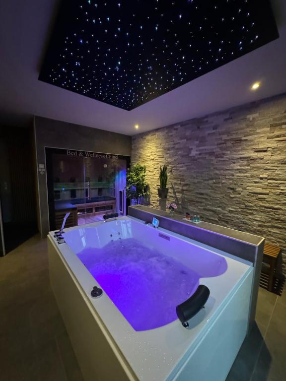 Bed & Wellness Chinel Luxe vakantiehuis met Sauna's en Bubbelbad, Sint Annaland