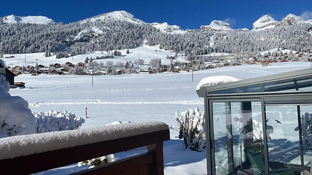 Studio dans un chalet avec jardin privatif - 2