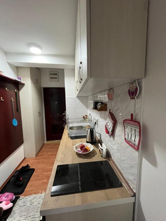 Apartman Cogan - 100m from Gondola - Brzece - 4