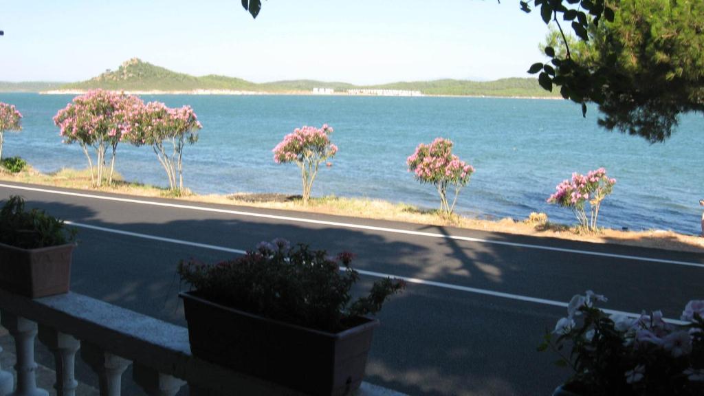 Ayvalik Dostlar Pansiyon — Hotel in Ayvalik