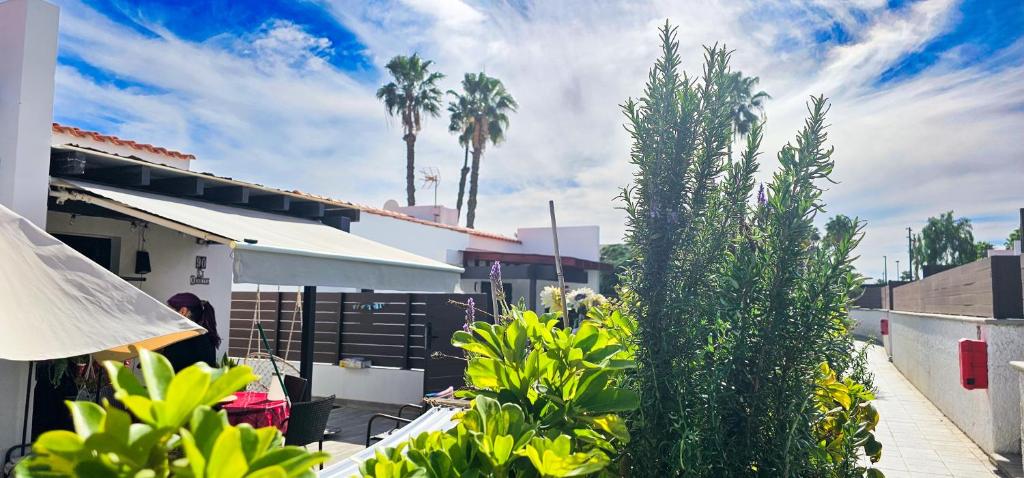 Bungalow La Bendita en Maspalomas - 1