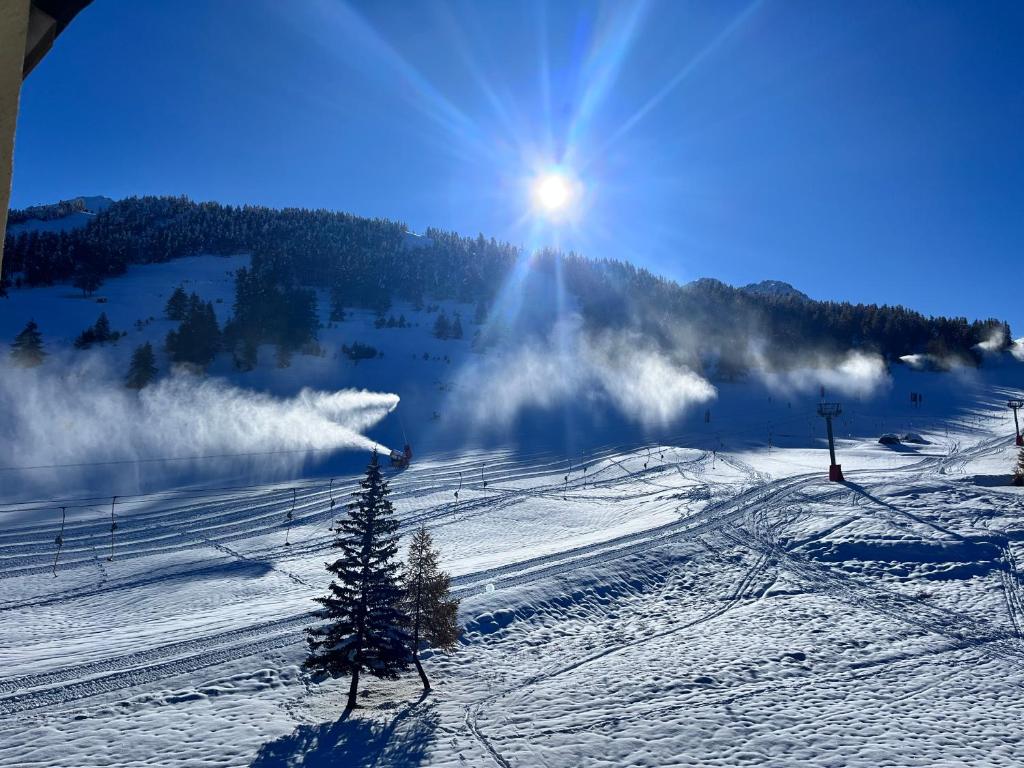 Appartamento di lusso sulle piste - 1