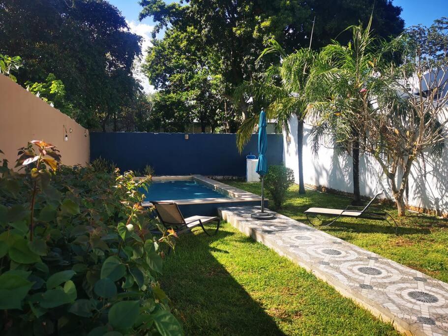 Residencia Maya con Hermosa Alberca y Jardines - 1