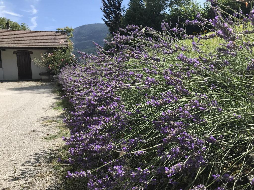 Grande maison familiale dans le massif des Bauges - 3
