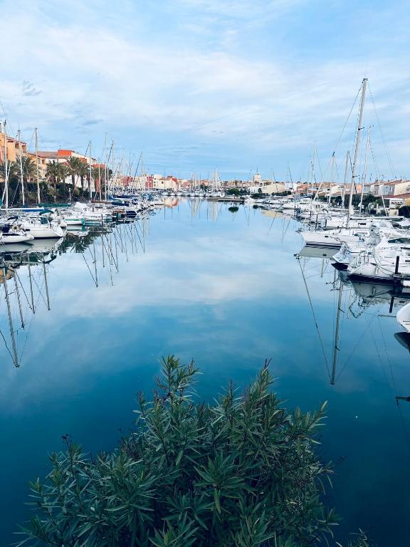 Duplex sur Marinas Cap d'Agde - 2