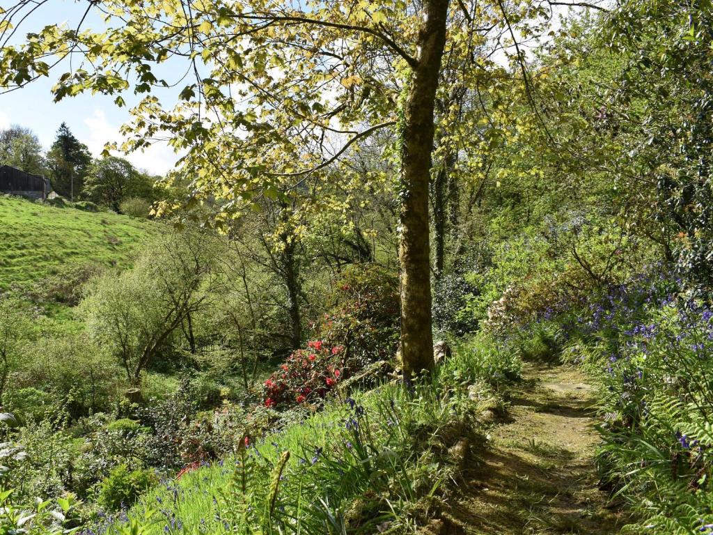 Kingfisher Cottage, Trelech photo 8