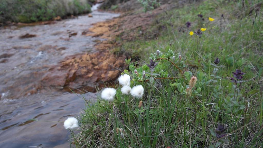 Surrounding environment