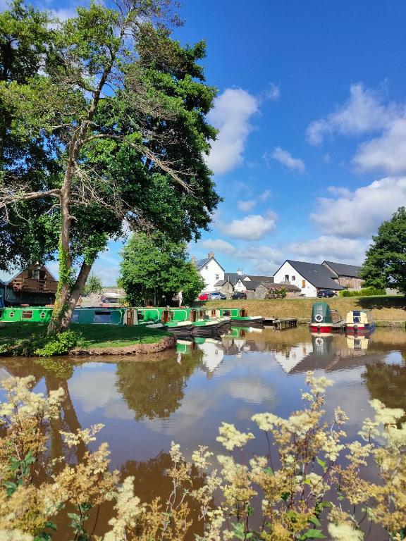 Dragonfly Cottage, Brecon photo 8