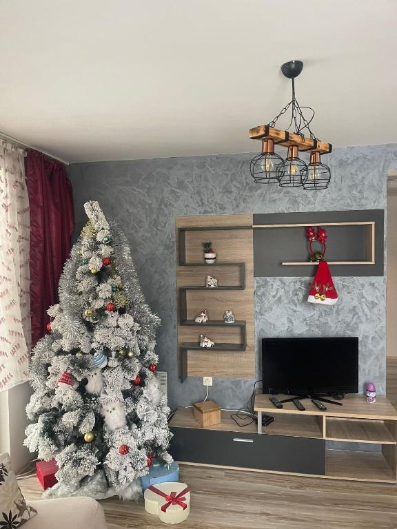 Aber Apartmani Kopaonik - 5
