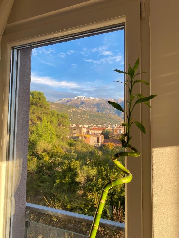 Sunny apartment in Tivat - 4