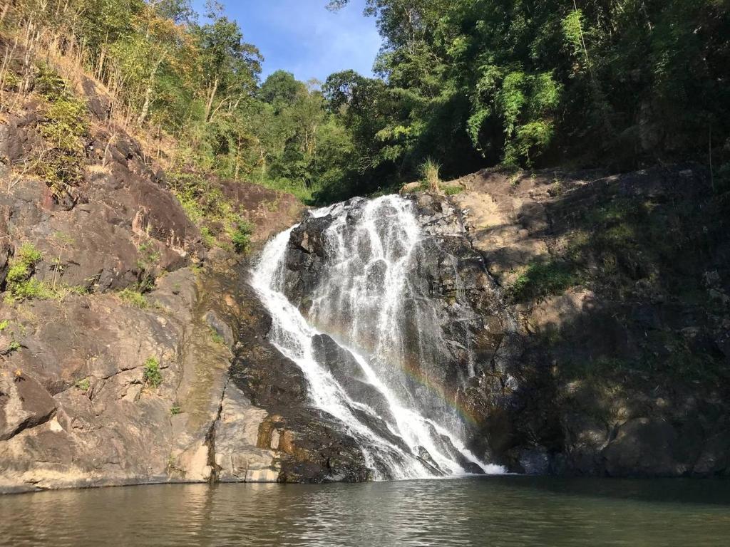 Hill top Homestay & Trekking