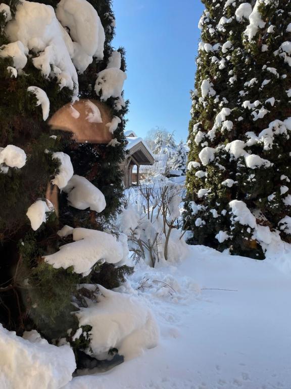 Megève - Chalet Miage - 4