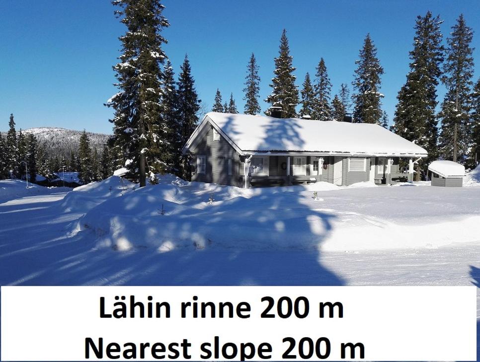 Hippu Apartment, Ruka