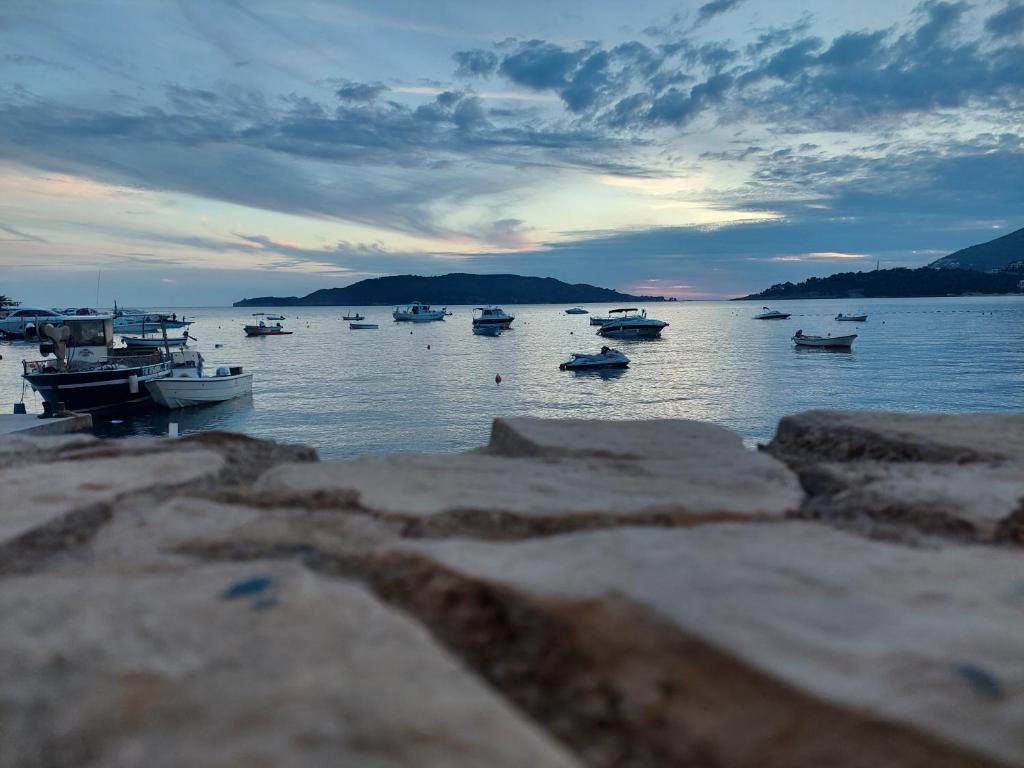 Apartment Vidakovic - 2