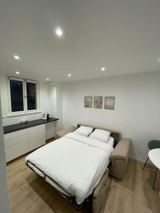 Le Cocon de Strasbourg Centre, proche Parlement Européen, Štrasburk