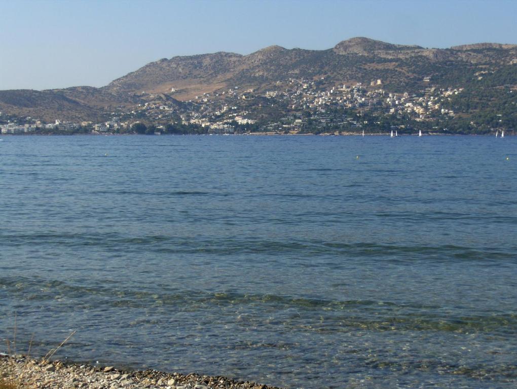 Sea Sight Boutique Hotel photo