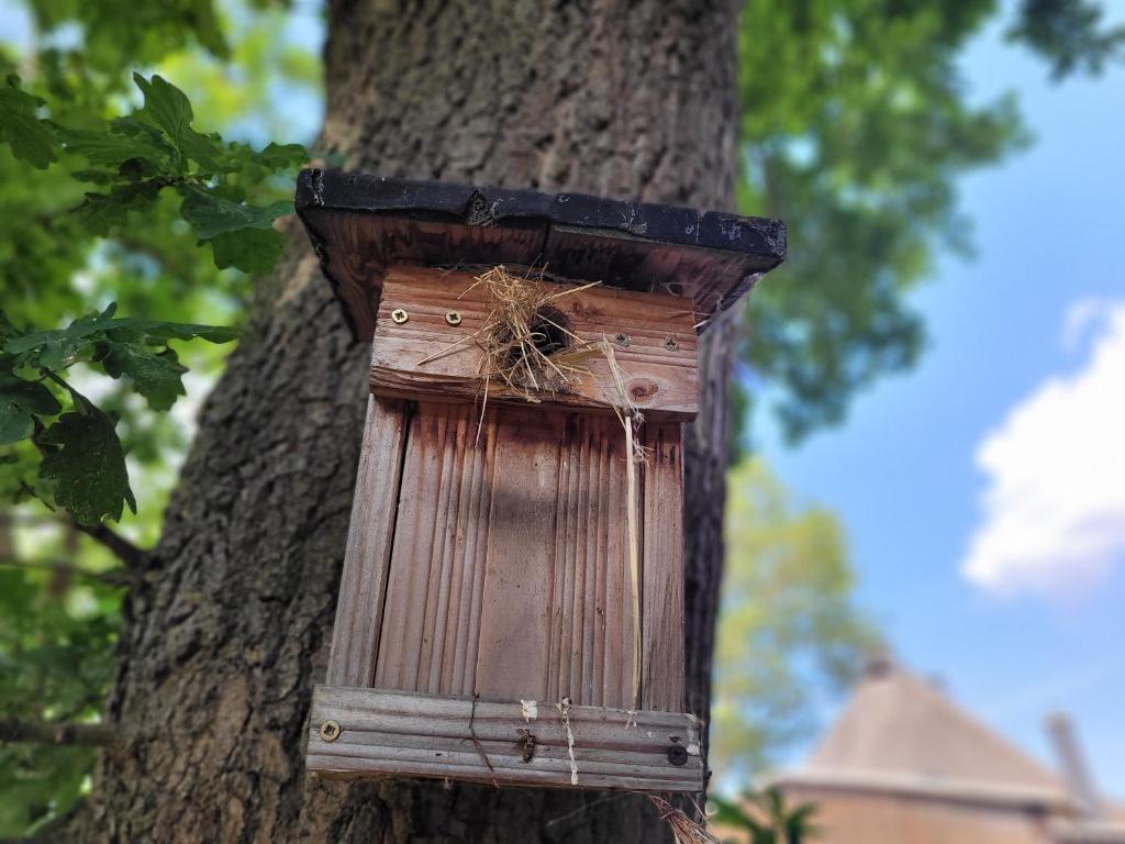 Ferienhof Schwalbennest OFC 24, Biendorf