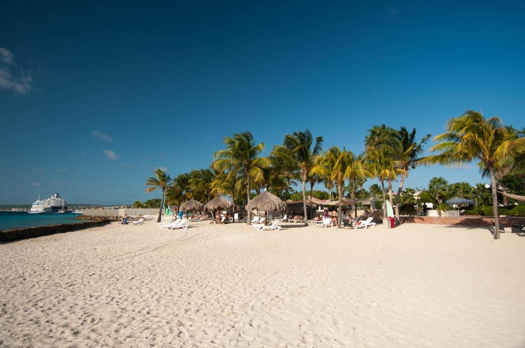 Beach, Van der Valk Plaza Beach & Dive Resort Bonaire in Kralendijk