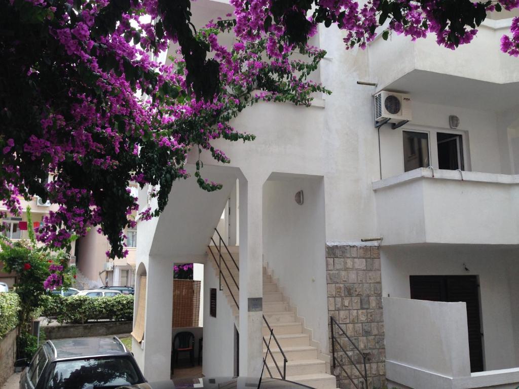 Guest House Violet - 1