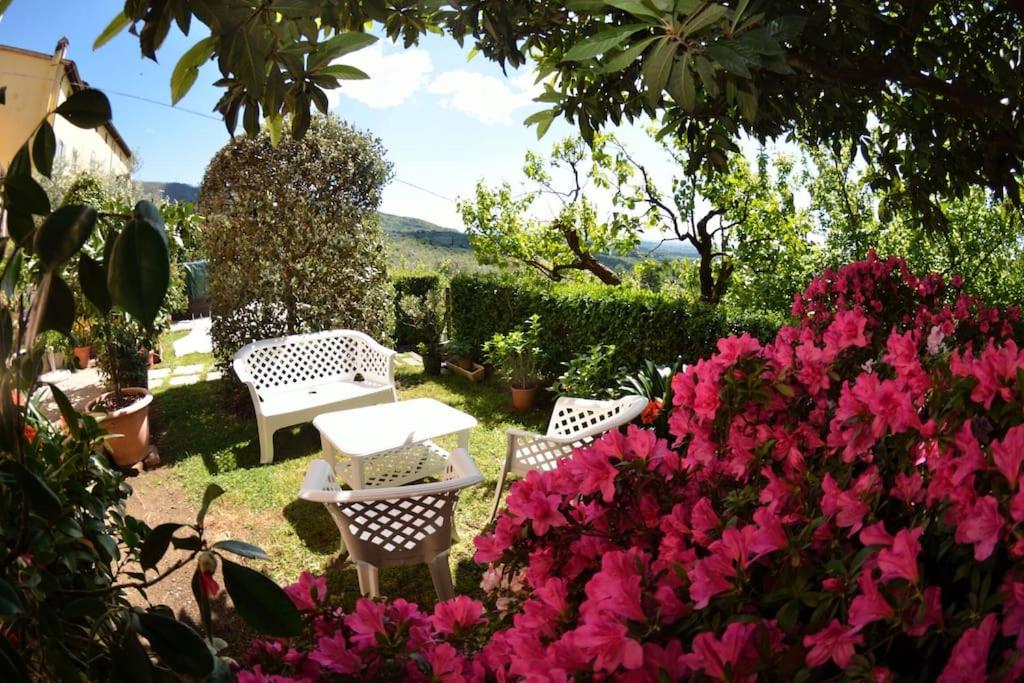 Alla Collina Del Sole - 3