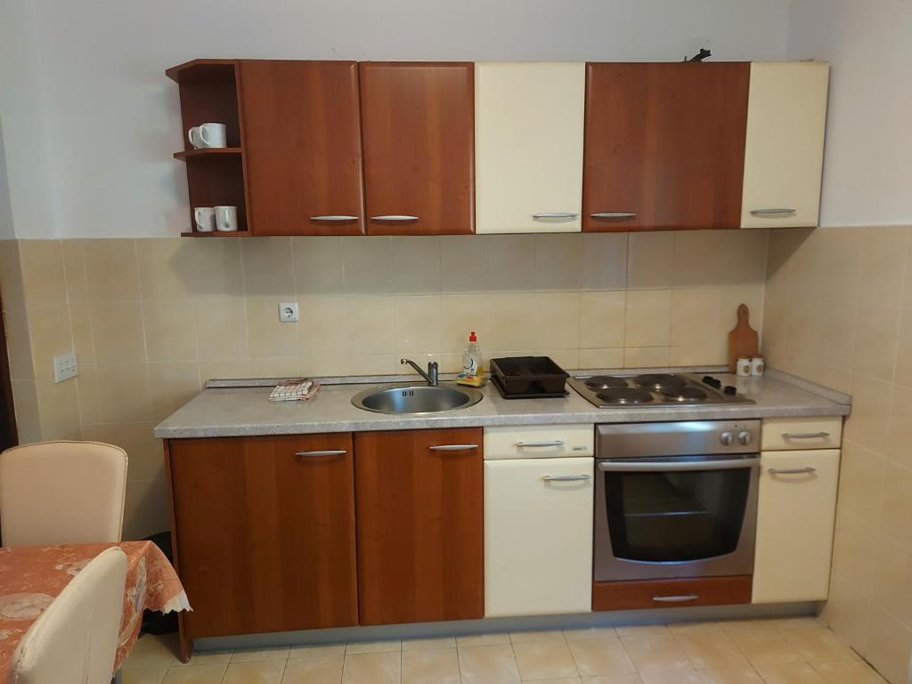 Apartmani vila Todor - 4