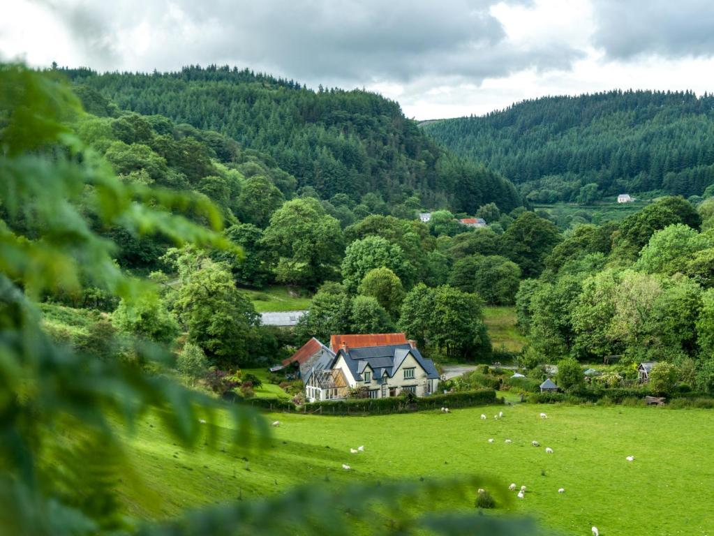1 bed in Llanwrtyd Wells BN254