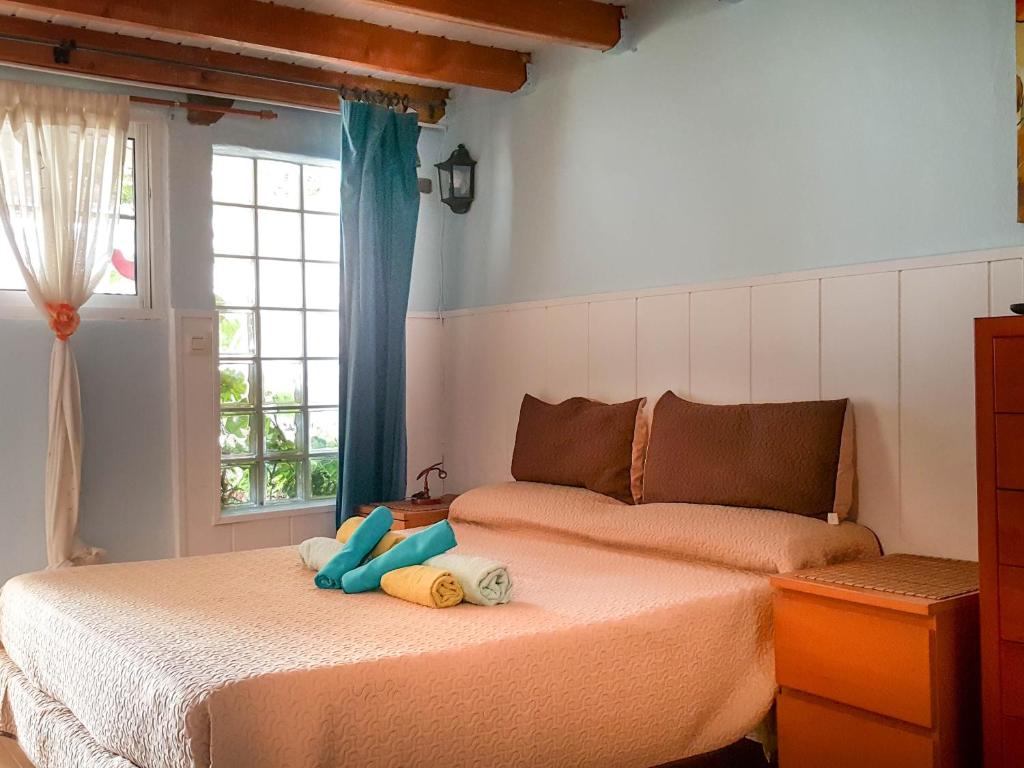 Petunia 75, El Médano