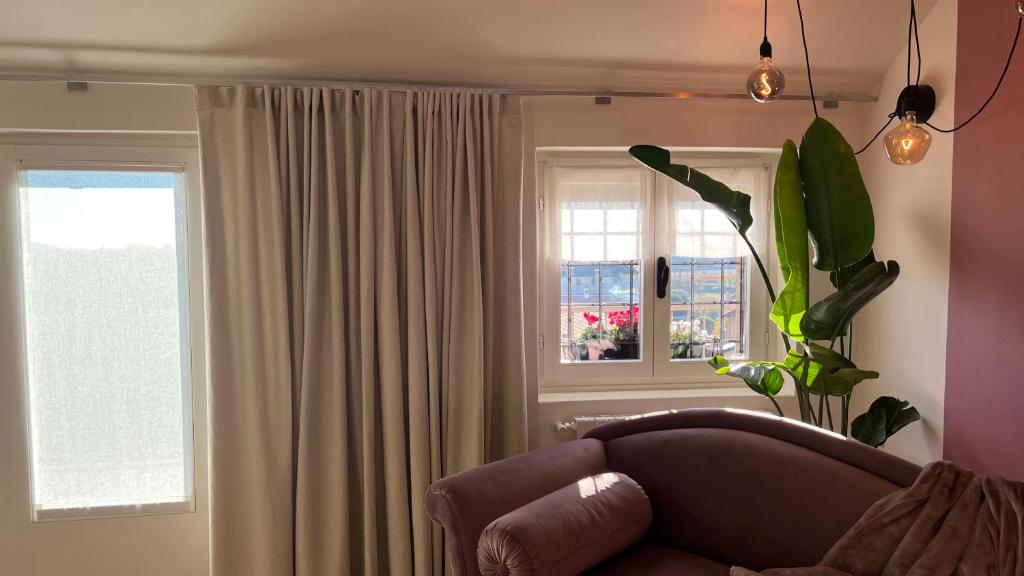 Atmosfere del Borgo - Bergamo, Bergamo